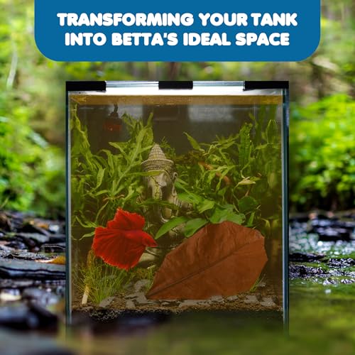 SunGrow 10 Indian Almond (Catappa) Leaves 8″ for Betta Fish – Natural Aquarium Water Conditioner, Adds Tannins, Lowers pH, Fin Growth and Enhances Color, Stress Relief, Water Softening Treatment