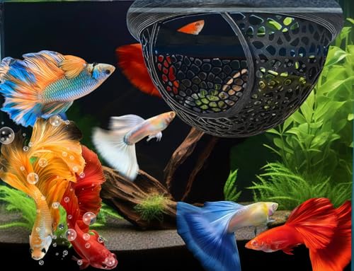 2 Pack Resting Beds for Betta Fish, Betta Fish Hammock for Aquarium & 2 Exercise Training Ring Toys,Fish Feeding Ring, Fish Aquariums Accessories