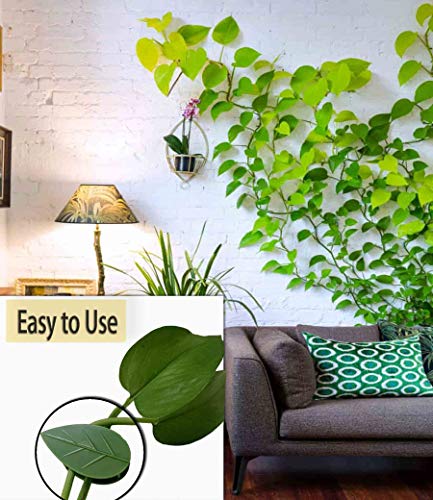 80PCS Plant Climbing Wall Fixture Clips-Plant Clips-Pothos Clips-Vine plant wall clips- Self-Adhesive Plant Fixing Hook for Plant Garden Wall Clip,Sticky Plant Fixing Clip for Decoration - size: leaf