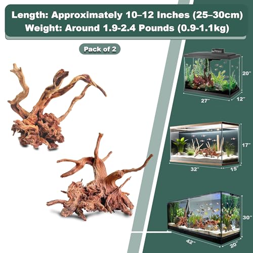 Natural Wood Driftwood for Aquarium Fish Tank Decor,Assorted Driftwood Trunk Branch for Reptile Tank Decor (LLM-Driftwood (10 to 12 Inch)-Pack of 2) - color: LLM-Driftwood (10 to 12 Inch)-Pack of 2