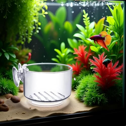 BWESOO Transparent Round Aquatic Planter Cups with Hole, Mini Acrylic Aquatic Plant Pot Holder with Suction Cup Aquarium Decor, for Aquarium Shrimp Fish Live Plants
