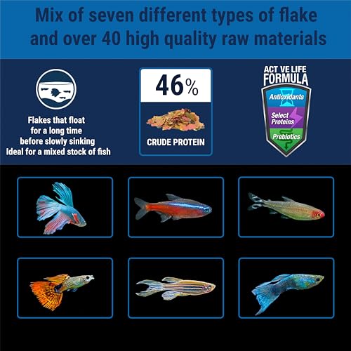 TetraMin Nutritionally Balanced Tropical Flake Food for Tropical Fish, 2.2 oz (Pack of 2) - size: 2.2 Ounce (Pack of 2)