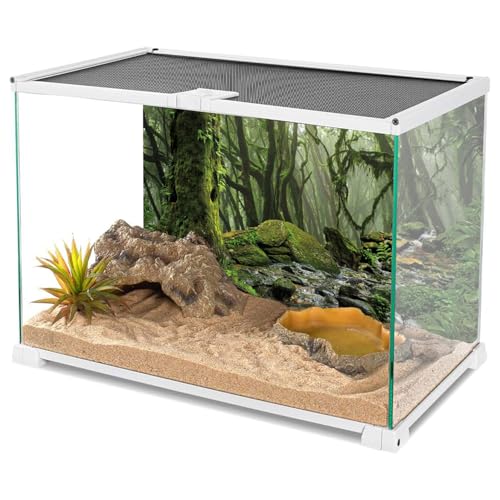 AWERT Foggy Forest Terrarium Background Stream Green Huge Tree Reptile Habitat Background Tropical Rainforest Aquarium Background 36x18 inches Durable Polyester Background - size: 36x18in/90x45cm