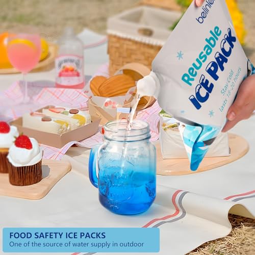 12 Pack 7x7 Inch / 10x10 InchReusable Long Lasting Ice Packs for Cooler, Reusable Ice Packs for Lunch Box, Lunch Bags for Beach, Fishing, Camping - size: 10x10in/12Pack