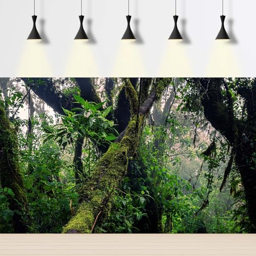 Jungle Rainforest Aquarium Background Mysterious Wild Tropical Forests Fish Tank Background Scenic Mossy Trees Green Plants Scene Terrarium Backgrounds Foggy Forest Reptile Tank Backgrounds 24x12in - color: Wam Green, size: 24(W)x12(H)in