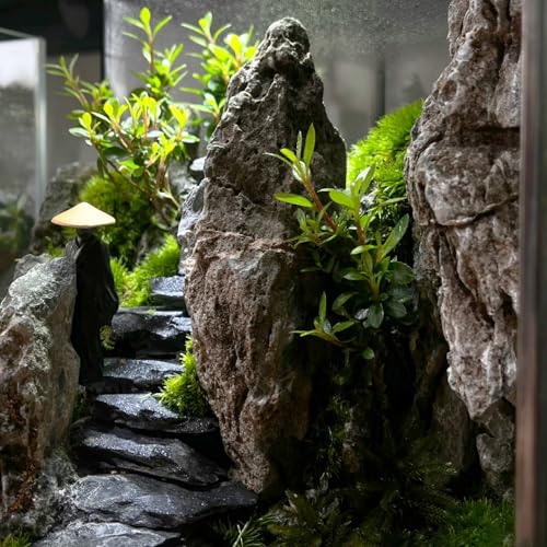 Natural Rocks Slate Stone 1-2.5 Inches Decorative Rocks for Miniature Landscaping,Fairy Gardens,Bonsai,DIY Crafts, Aquariums & Reptile Terrariums-2lb - size: 2lb(1-2.5Inch)