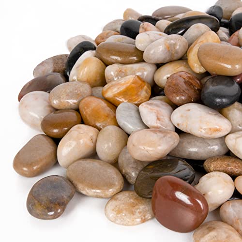 GASPRO 8-lb Natural River Rocks for Landscaping, Decorative Rocks for Potted Plants and Aquariums, Polished River Stones for Indoor & Outdoor Decor, 1 to 1 3/4 Inches - size: 8lb