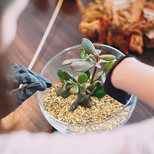 Coarse Sand Stone - Succulents and Cactus Bonsai DIY Projects Rocks, Decorative Gravel for Plants and Vases Fillers，Terrarium, Fairy Gardening, Natural Stone Top Dressing for Potted Plants. - size: 2 LB