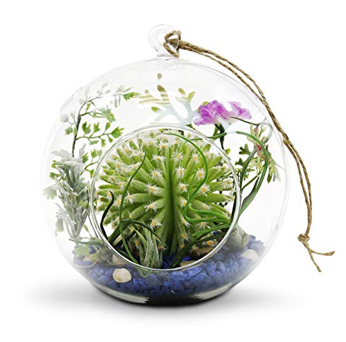 WGV Hanging Terrarium Globe, Width 7", Height 8", DIY Air Succulent Planter, Clear Glass Vase Orb with Flat Bottom, Candle Holder Outdoor Garden Decor, 6 Pieces - size: 7" Flat Bottom