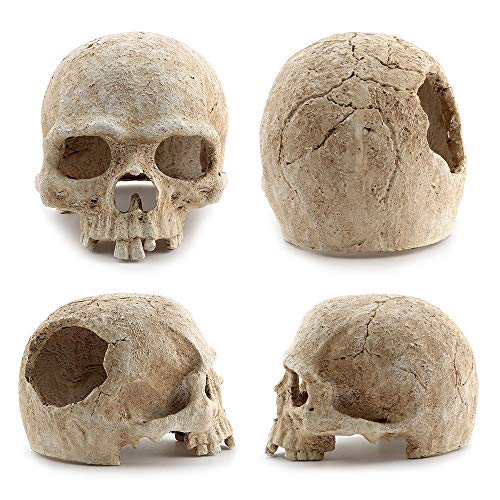 Aquarium Resin Skull, for Aquarium Decoration Reptile House Cave Family Daily Decoration