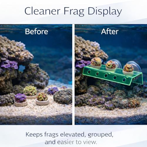 kcrygogo Fluorescent Green Coral Frag Holder Acrylic Coral Rack with Powerful Double Suction Cup Suitable for Household Fish Tanks (10 Plug Holes)