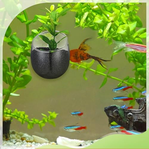 8 Pcs Aquarium Plant Holder Pot Clear Glass Aquatic Plant Cup with Suction Cups Aquarium Fish Tank Pots for Aquaponic Cultivation Water Feature Decoration