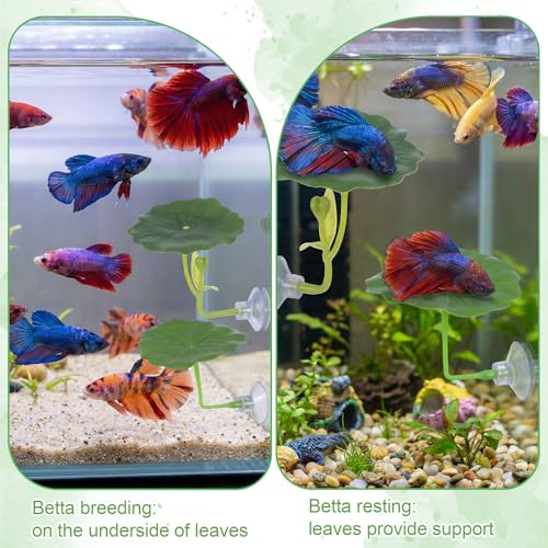 4 Pcs Betta Fish Leaf Hammock Betta Fish Bed Leaf Bettas Suction Cup Tank Decor Green Hammock for Fishes Spawning Grounds Practical Resting Spot Leaves Pad Simulates Natural Habitat Resting Bed