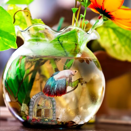 Veemoon 4 Pcs Fairy Garden Accessories Windows and Door Set, Synthetic Resin 2.36x1.97x0.79 Inch Aquarium Decor, Fish Tank Micro Landscape Flower Pot Home Office