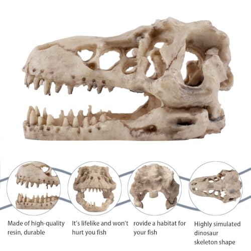 Dinosaur Skull Aquarium Decoration,Fish Tank Décor,6.3"x4"x4" | Hideaway for Fish, Natural Look, Fun Underwater Environment - size: 6.3"
