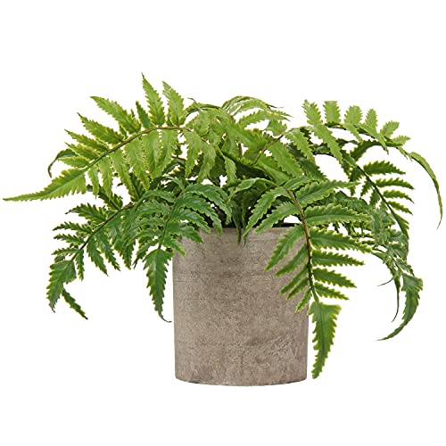Briful Small Fake Plant Potted Plants Artificial Decor Plastic Ferns Plant Faux Plants in Pots for Home Living Room Bedroom Desk Bathroom Shelf Farmhouse Decoration - color: Color #02