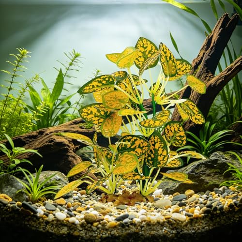 Silk Aquarium Plants (2-Pack), 9.8-inch Artificial Aquarium Silk Plants— Simulated Fish Habitat Decor, Safe Silk Plants for Aquariums Fish Fishbowl (Gold) - color: Gold&green