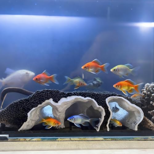 Saim Aquarium Cave Decor – 3D Printed Fish Hideout Tunnel for Betta, Guppy & Corydora Catfish – Natural Curved Shrimp Hideout with Multi-Hole Design Fish Tank Underground Corner Cave (Black, Medium)