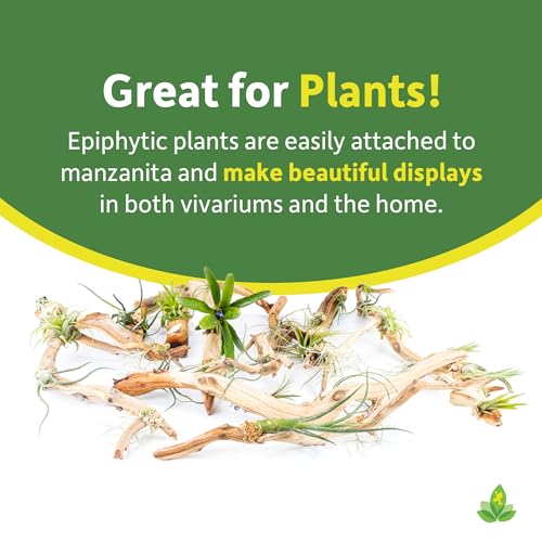 Josh's Frogs Manzanita Wood (Medium) - size: Medium