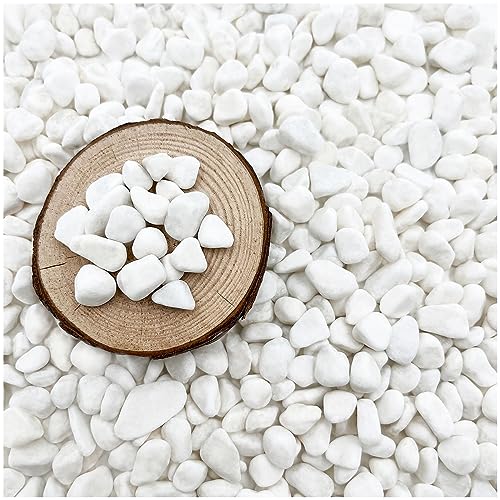 BXI 2.2 Lbs Small Aquarium Substrate Gravel Sand, Polished Smooth Fish Tank Gravel, Colorfast Uncoated White Natural Pebbles, Decorative Stones for Vase Fillers, Fairy Garden, Potted Plants - color: White Pebble, size: 2.2 lbs, 0.24''-0.40''(Medium)