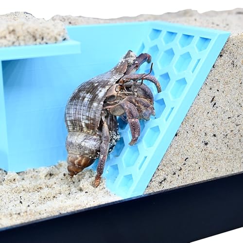 Hermit Crab Underground Tunnel Cave Corner | Hermit Crab Climbing Tank Decor Hide Hideout | Hermit Crab Habitat Hideaway Decoration Accessories Supplies Toys Ornaments (Sky Blue) - color: Sky Blue