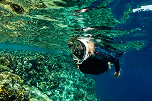 OCEAN REEF - Aria QR + Quick Release Snorkeling Mask - Full Face Snorkeling Mask - 180 Degree Underwater Vision - 8 Colours and 4 Sizes - color: White, size: Small-Medium