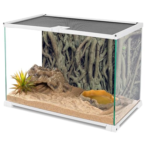 YongFoto Reptile Terrarium Background 24x16 inch Reptile Tank Background Vintage Old Tree Roots Green Grass Moss Bark Reptile Habitat Background Bearded Dragon Fish Tank Aquarium Background Backdrop - color: Grey, size: 24x16in/60x40cm