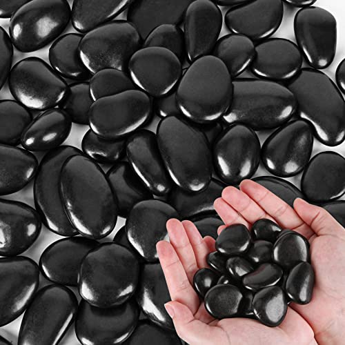 Black River Rocks for Plants 5.5 LB Small Decorative Pebbles 1"-1.5" Polished Stones Smooth Aquarium Gravel for Fish Tank Vases Indoor Planters Outdoor Landscaping Garden (88oz) - size: 5.5 LB (88oz), style: Black