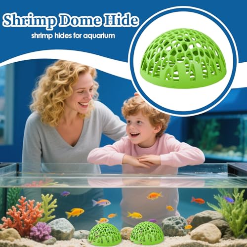 Shrimp Cave Betta Habitat Ornament | Realistic 2-Piece Betta Resting Habitat for Tropical Fish Tanks, Perfect for Home, Office, School Desk Aquariums and Small Aquatic Life Enthusiasts - color: Green