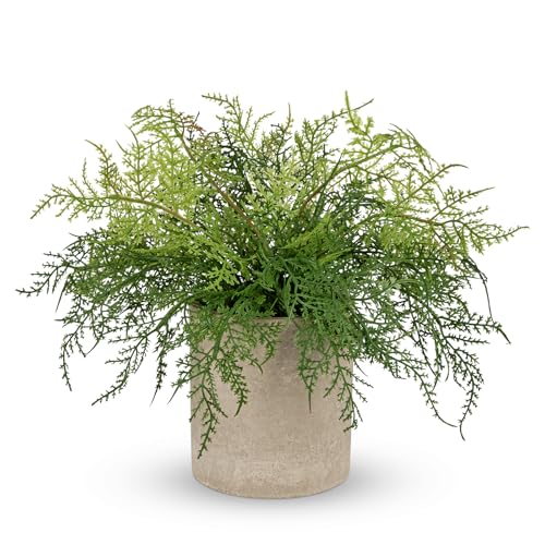 Briful Artificial Fern Plant in Pulp Pot, Lifelike Faux Fern for Indoor Home Décor, Rustic Tabletop Greenery, Farmhouse Artificial Plant for Office, Living Room, Bathroom Shelf, Kitchen Counter Decor - color: Green Fern#021