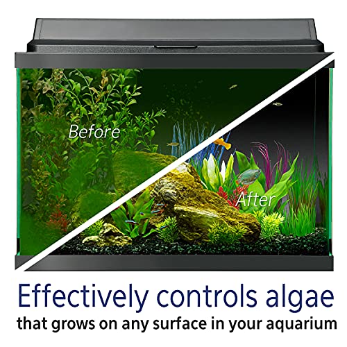 Aqueon Fish Tank Aquarium Algae Remover, 4 oz