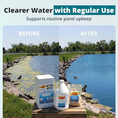TLC Farm Pond Treatment – PondPerfect Liquid & EcoSock Dual System, Pond Bacteria for Larger Outdoor Ponds – 1 Box Treats Up to 1/4 Acre – 36 Gallon + 36 EcoSock - size: 36 Gallons + 36 EcoSocks