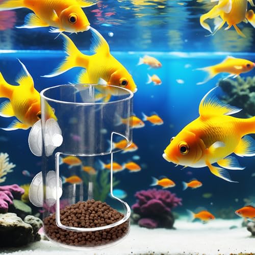 No Mess Aquarium Feeder, 2026 New Acrylic Clear Fish Tank Feeder with Suction Cup, Preventing Food Scattering (Round) - color: Round