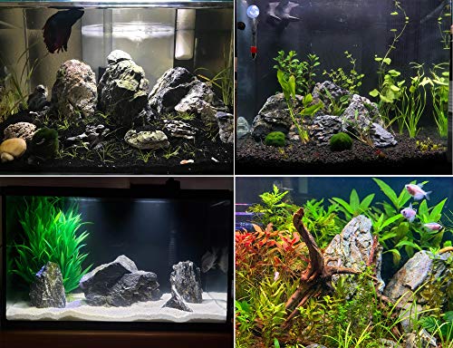 Voulosimi 18 lb Seiryu Rock Stone for Aquariums, Landscaping Model,Tank Decoration - color: 18 LB, size: Seiryu Stone