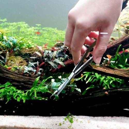 LINLAN Aquatic Plant Spring Scissors for Precise Trimming, Stainless Steel with Top Rebound Feel, Ideal for Aquatic Ferns and Microsorum Pteropus in Planted Tanks - size: Straight