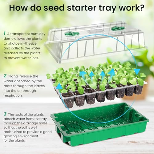 MIXC Seed Starter Tray with Lights, 2 Packs Mini Propagator Plant Grow Kit Greenhouse with Humidity Vented Domes and Base for Seeds Starting, Green - color: Green, size: 40-Cell 2-Pack With Light