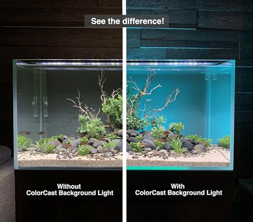 ColorCast Aquarium Background LED Light Kit with Frosted Background Film | Smartphone and Voice Control | 24/7 Timers | Alexa and Google Home | for Aquariums, Terrariums and Vivariums | 32"-48" - size: 32" | 32" to 48"