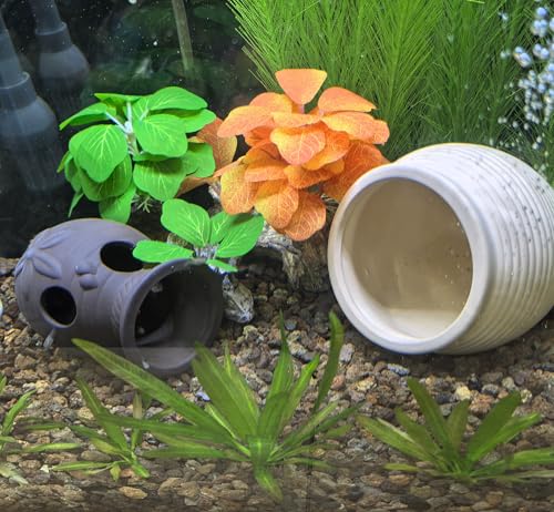 M2cbridge Pottery Ceramic Jar Natural Clay Vase Cichlid Small Fish Shrimp to Play Hide Breed Habitat(Purple Clay, 2pcs) - color: Purple Clay, 2pcs