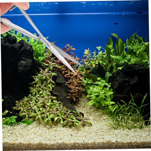 UPKOCH Professional Stainless Steel Aquarium Scissor Portable Spring Scissors for Pruning Aquatic Plants Water Grass Trim Tool for Fish Tanks and Landscape Maintenance