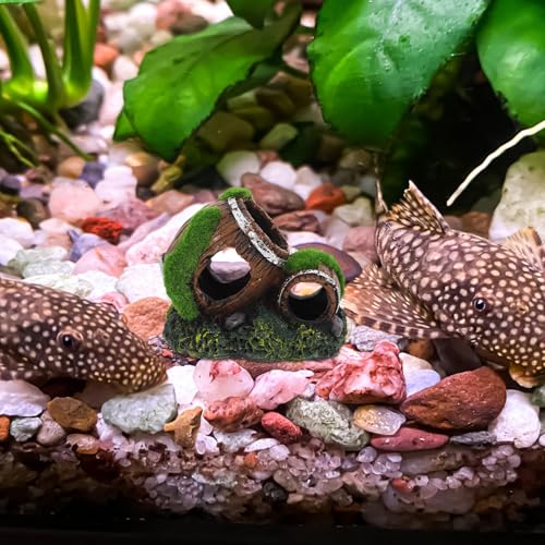 Toddmomy Resin Fish Tank Decor Broken Barrel Hideout Aquarium Ornament Betta Tunnel Freshwater Shrimp Cave Underwater Landscaping Shelter for Small Aquatic Pets