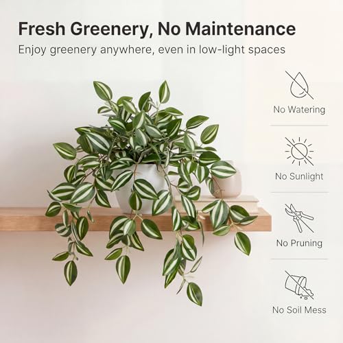 Briful Artificial Hanging Plant, Faux Watermelon Peperomia Potted Plant with Trailing Vines Realistic Fake Greenery for Shelf Bathroom Office Kitchen Home Decor - color: Green Style#3