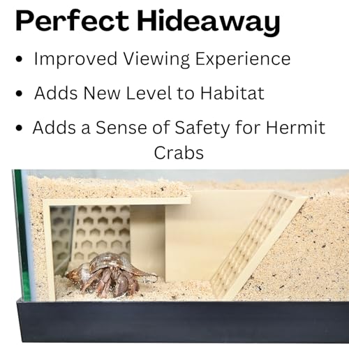 Hermit Crab Underground Tunnel Cave Corner | Hermit Crab Climbing Tank Decor Hide Hideout | Enrichment Habitat Hideaway Decoration Accessories Supplies Toys Ornaments (Beach Sand White) - color: Beach Sand White