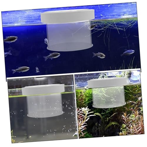 FRCOLOR Acrylic Fish Breeding Box Floating Design Fish Isolation Container for Aquariums Breeder Cups to Survival Rate