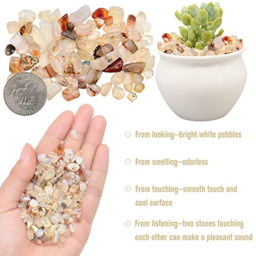 Halatool 1LB Crystal Pebbles 0.27"- 0.79" Natural Landscaping Pebbles Aquarium Gravel Decorative Polished Stone Suitable for Plants Home Decoration DIY Handmade Fish Tanks Vase Filler - size: 1 LB, style: Crystal Pebbles