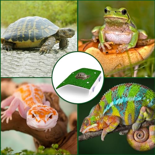 Lawn Basking Platform for Turtle, Simulated Grass Terrace, Tortoise Ramp Climbing Ladder Resting Terrace,Turtle Fish Tanks Aquarium Decor, Tanks Accessories for Hermit Crab