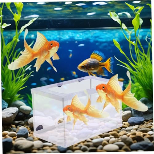 Breeder Box for Fish Tank, 6x5.7x10 Large Fish Breeding Box Net, White Mesh Aquarium Breeder Hang on Nursery with Suction Cups for Baby Hatchery