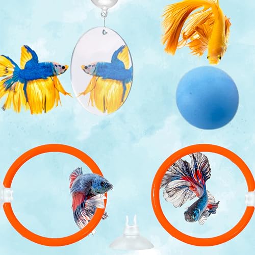 Betta Mirror Enrichment Fish Toys Stimulation, 2 pcs Exercise Feeding Rings And Training Mirror With Floating Ball Toy, Betta Fish Tank Accessories, Small Aquarium Tank Decoration (Orange, M) - color: Orange, size: M