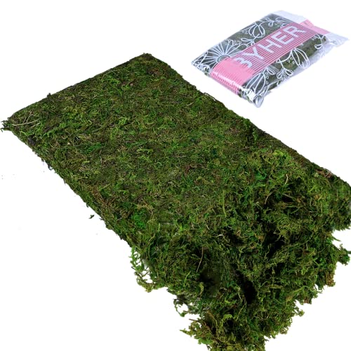 Artificial Moss Fake Green Grass for Centerpieces Home Kitchen Garden Decor (3.5OZ, Fresh) - color: 3.5oz, Fresh