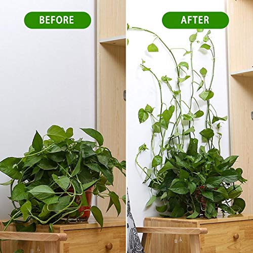 Plant Clips-Plant Climbing Wall Fixture Clips 110PCS, Invisible Clips For Climbing Plants，Self-Adhesive plant wall clips For Plant Support, Sticky Plant Fixture Clips Plant Holder For Pothos - size: White clip
