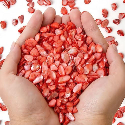 QICQDRAM Crushed Shells for Crafts About 1LB (405g/14.28oz) Small Natural Crushed Shells Bulk for Crafts DIY Beaching Wedding Decoration Vase Fillers (Red) - color: Red, size: 1LB (405g/14.28oz)
